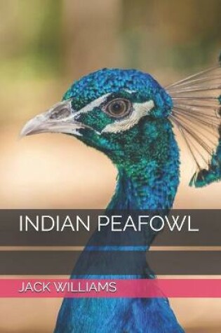 Cover of Indian Peafowl