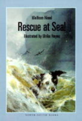 Book cover for Rescue at Sea!