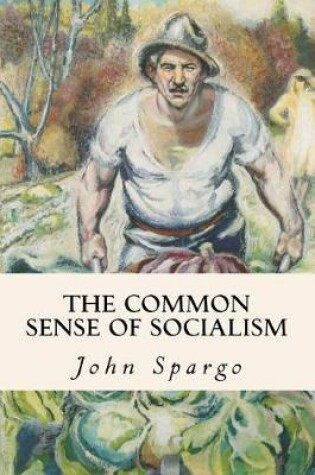 Cover of The Common Sense of Socialism