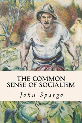 Book cover for The Common Sense of Socialism