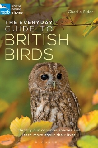 Cover of The Everyday Guide to British Birds