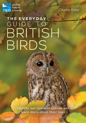 Book cover for The Everyday Guide to British Birds