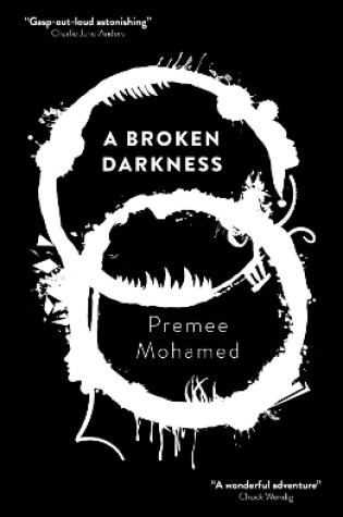 Cover of A  Broken Darkness