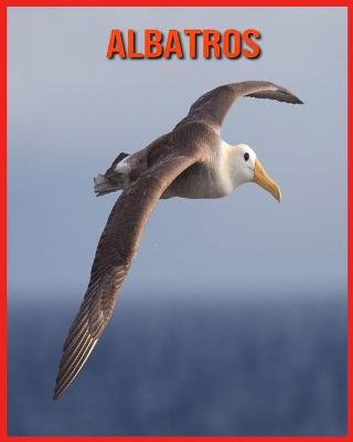 Book cover for Albatros