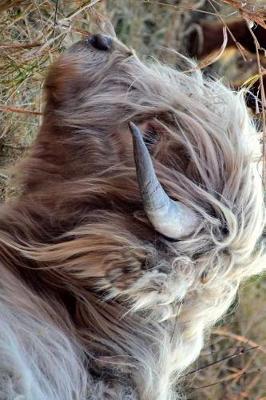 Book cover for Highland Cow Profile Laying in the Grass in Spring Journal