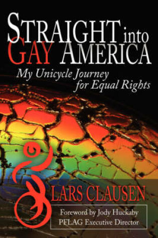 Cover of Straight Into Gay America