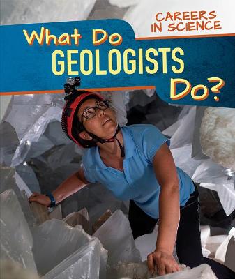 Book cover for What Do Geologists Do?