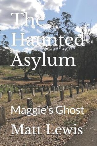 Cover of The Haunted Asylum