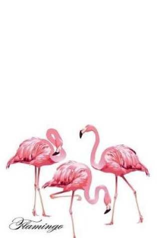 Cover of Flamingo