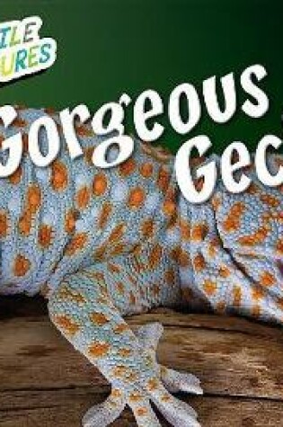 Cover of Gorgeous Geckos