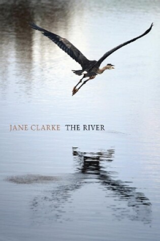 Cover of The River