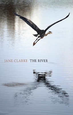 Book cover for The River