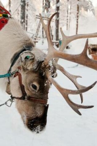 Cover of Winter Reindeer Portrait Journal