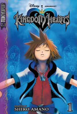 Book cover for Kingdom Hearts