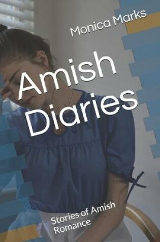 Cover of Amish Diaries