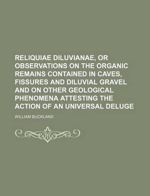 Book cover for Reliquiae Diluvianae, or Observations on the Organic Remains Contained in Caves, Fissures and Diluvial Gravel and on Other Geological Phenomena Attest