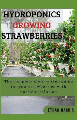 Book cover for Hydroponics Growing Strawberries