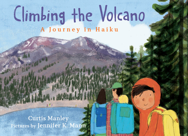 Cover of Climbing the Volcano