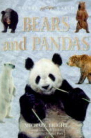 Cover of Bears and Pandas