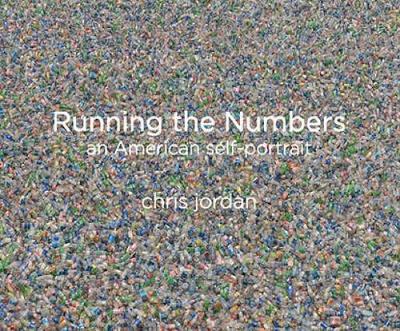 Book cover for Running the Numbers