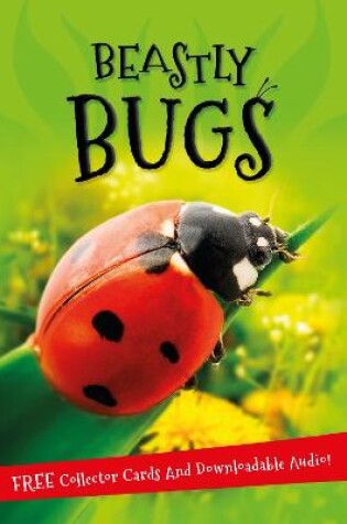 Cover of It's all about... Beastly Bugs