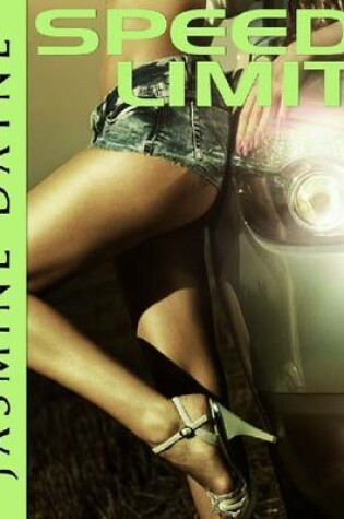 Cover of Speed Limit (Hardcore Erotic Fiction)