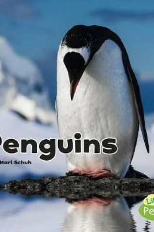 Cover of Black and White Animals Penguins