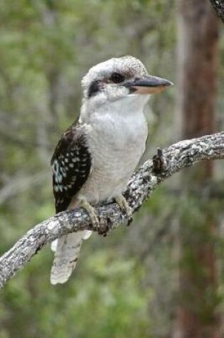 Cover of Kookaburra Kingfisher Bird on a Tree Branch Australia Journal