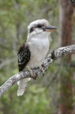 Book cover for Kookaburra Kingfisher Bird on a Tree Branch Australia Journal