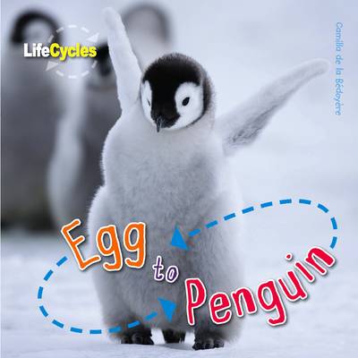 Book cover for Egg to Penguin