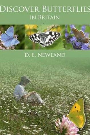 Cover of Discover Butterflies in Britain