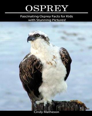 Book cover for Osprey