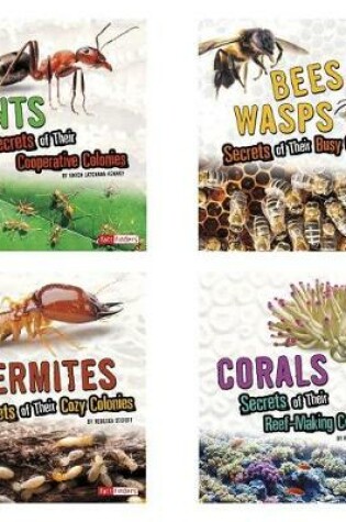 Cover of Amazing Animal Colonies