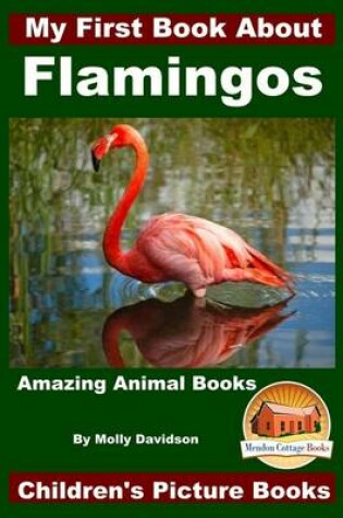 Cover of My First Book About Flamingos - Amazing Animal Books - Children's Picture Books