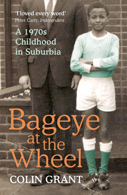 Book cover for Bageye at the Wheel