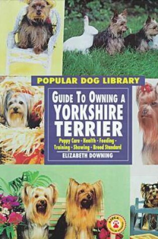 Cover of Guide to Owning a Yorkshire Terrier