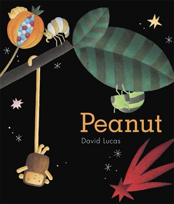 Book cover for Peanut With Mini Plush Toy