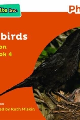 Cover of Read Write Inc. Phonics: Blackbirds (Orange Set 4 Non-fiction 4)