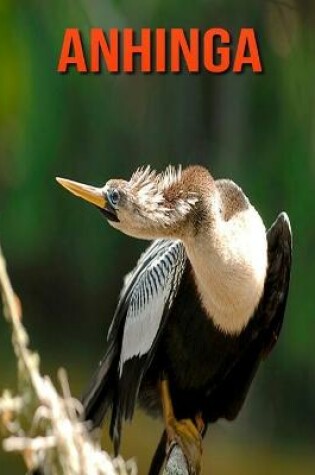 Cover of Anhinga