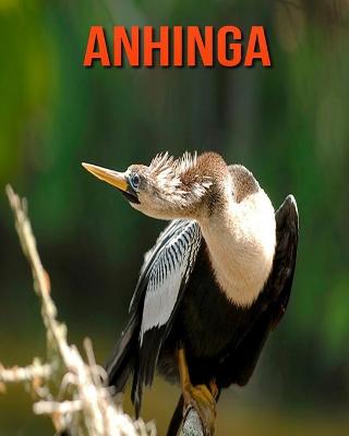 Book cover for Anhinga