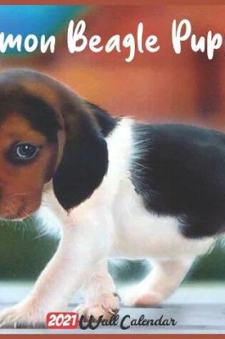 Cover of Beagle Puppies 2021 Wall Calendar