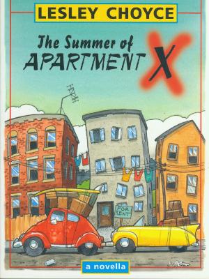 Book cover for The Summer of Apartment X