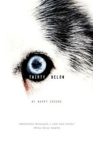 Cover of Thirty Below