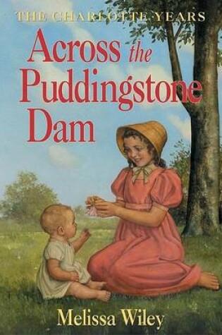Cover of Across the Puddingstone Dam