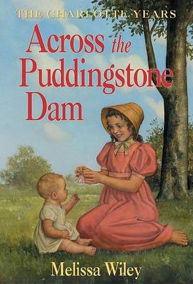 Book cover for Across the Puddingstone Dam