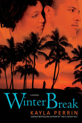 Book cover for Winter Break