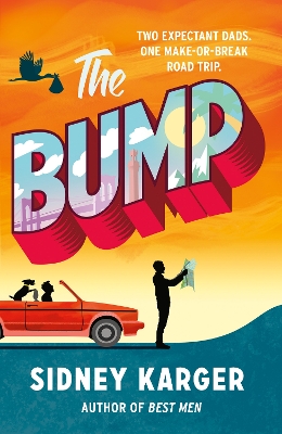 Book cover for The Bump