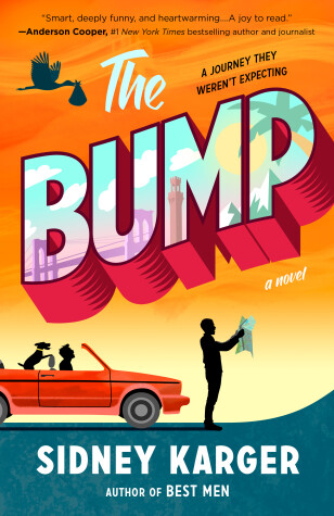 Book cover for The Bump