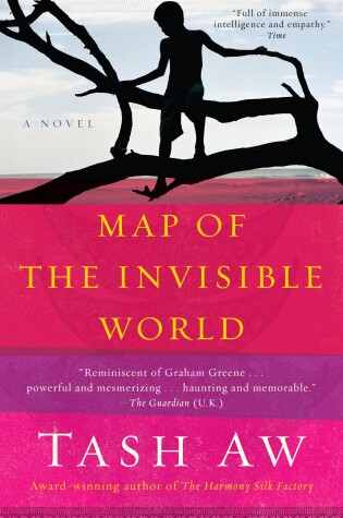 Cover of Map of the Invisible World