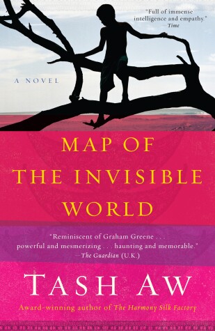 Book cover for Map of the Invisible World